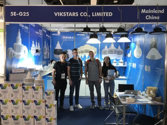 Vikstars Co., Limited dây chuyền sản xuất của nhà sản xuất